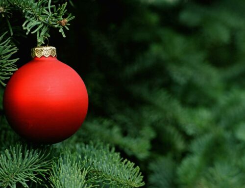 “La luce di Natale” – editoriale dicembre 2023