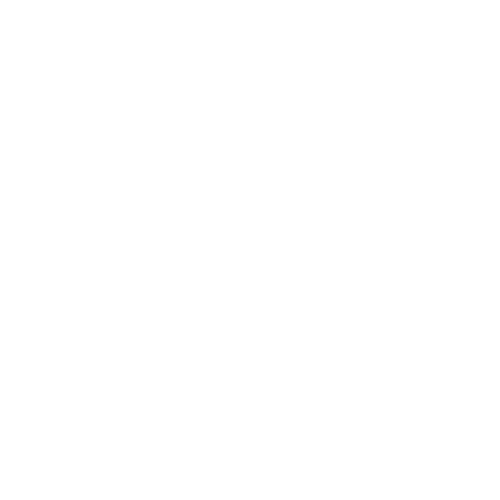 Logo B100 For Future_bianco
